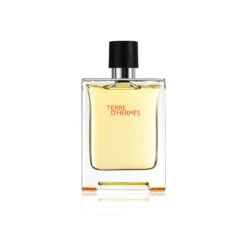 Hermès Terre D'Hermes Eau De Toilette - Natural Spray
