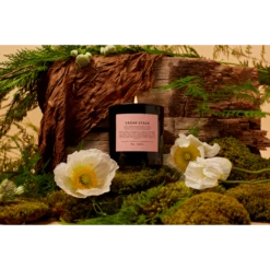 Petal Scented Candle 5 Petal Scented Candle -Glamelix Sales Store BoySmells Editorial CedarStack Slide Show 720x a0c3aba6 954e 4394 99f3 77152d1d90fb