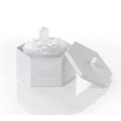 Teint De Neige Scented Body Powder